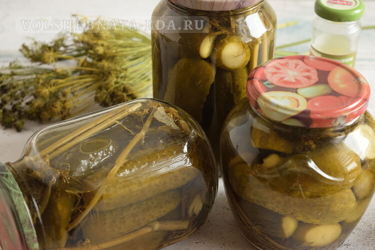 marinovannye ogurcy bez sterilizacii 7