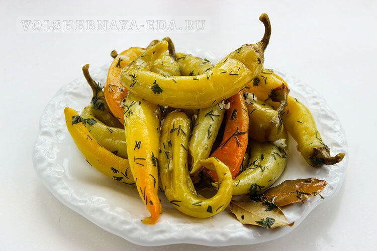 marinovannyj cicak 8