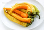 solenyj cicak 11