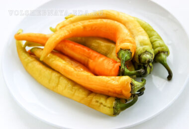 solenyj cicak 11