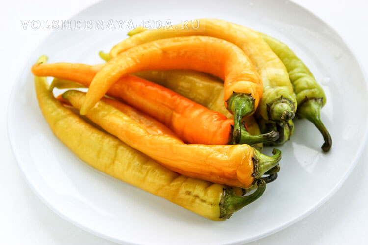 solenyj cicak 11